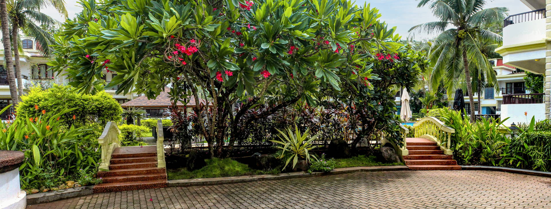 Sonesta Inns Obrázek12