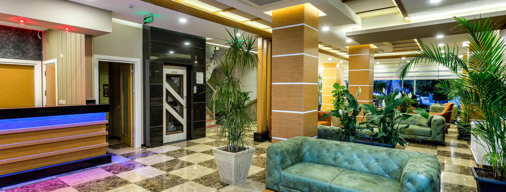 Lonicera City Kleopatra Obrázek19