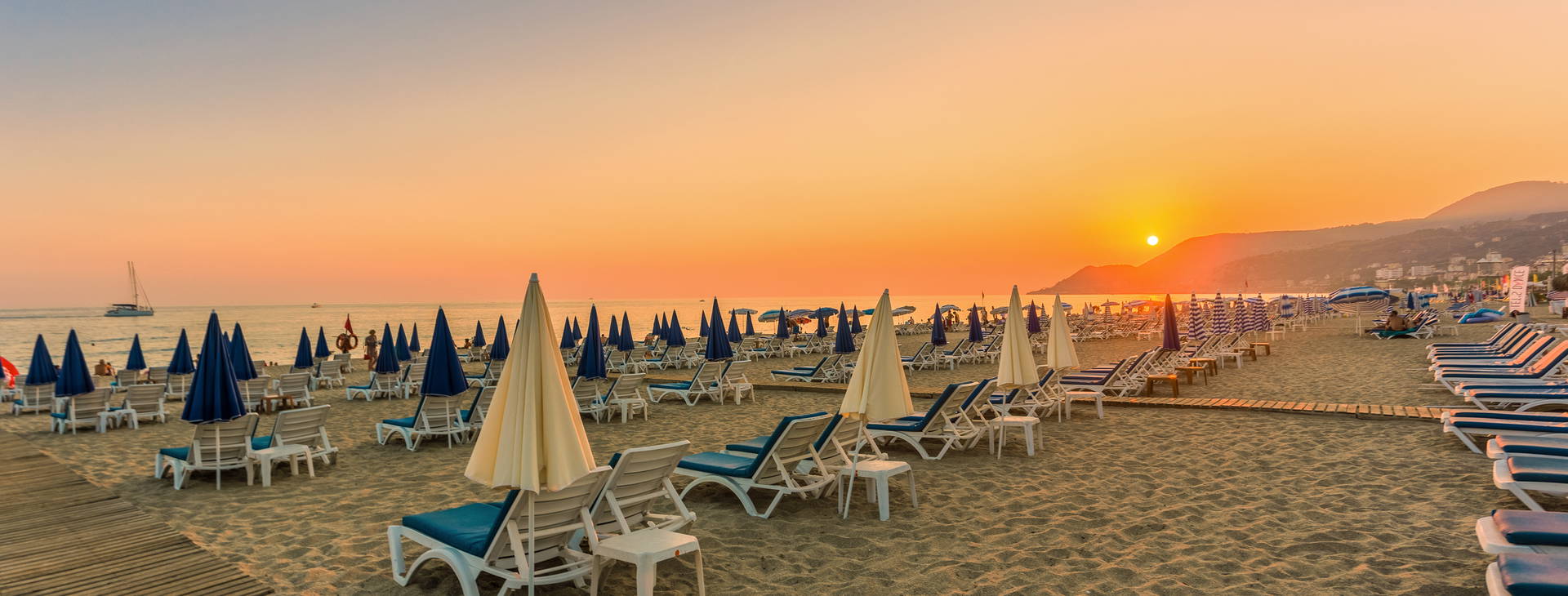 Lonicera City Kleopatra Obrázek4