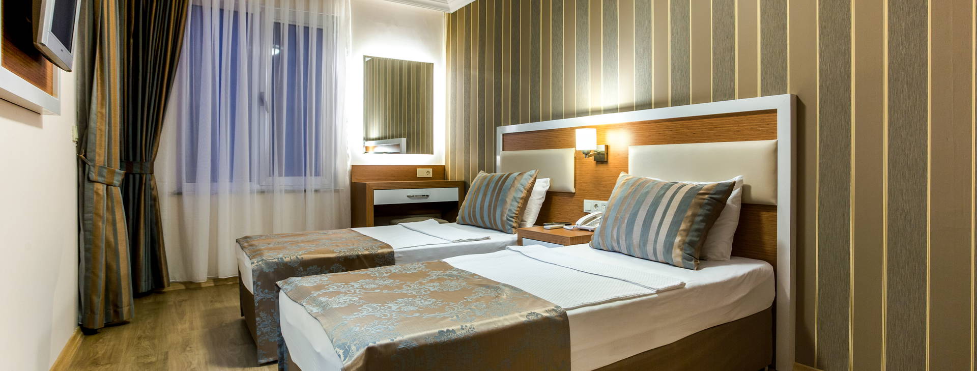 Lonicera City Kleopatra Obrázek6