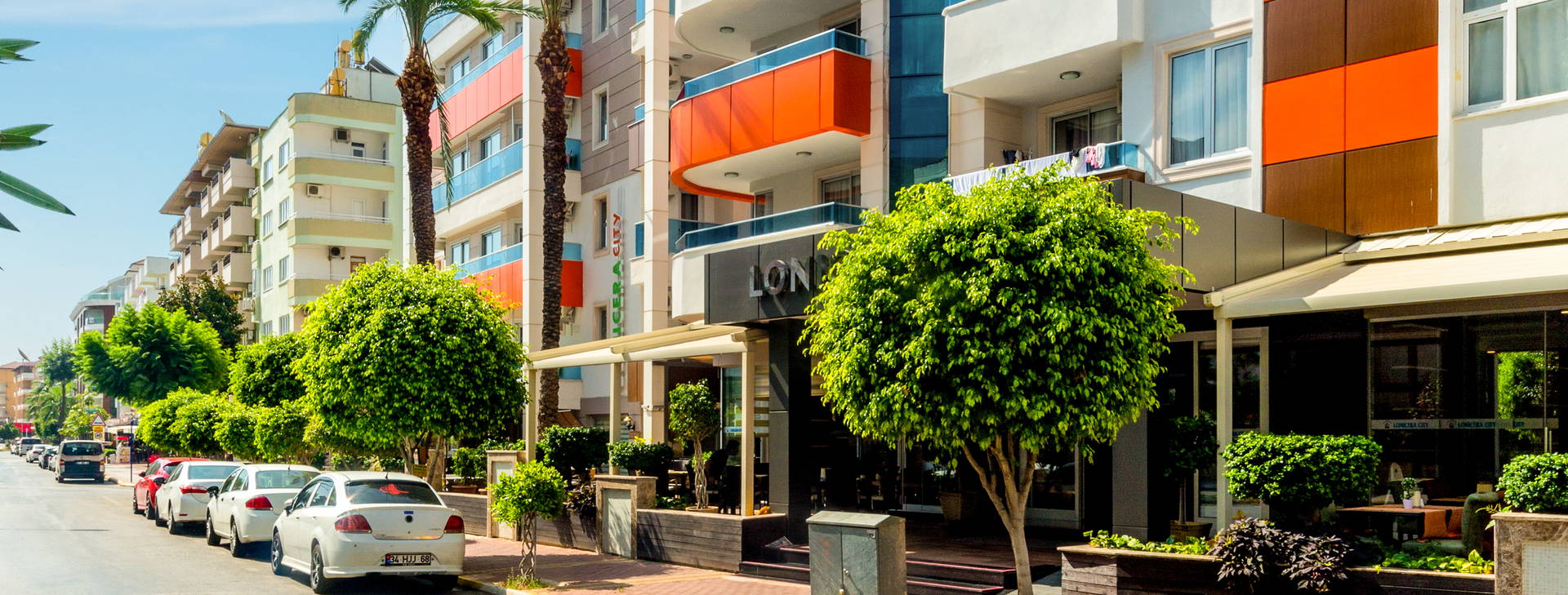 Lonicera City Kleopatra Obrázek2