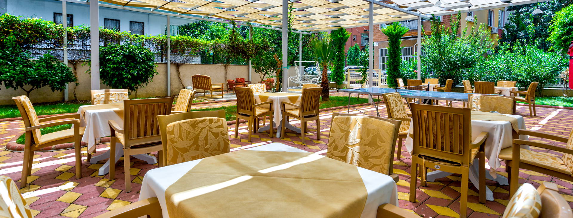 Lonicera City Kleopatra Obrázek15