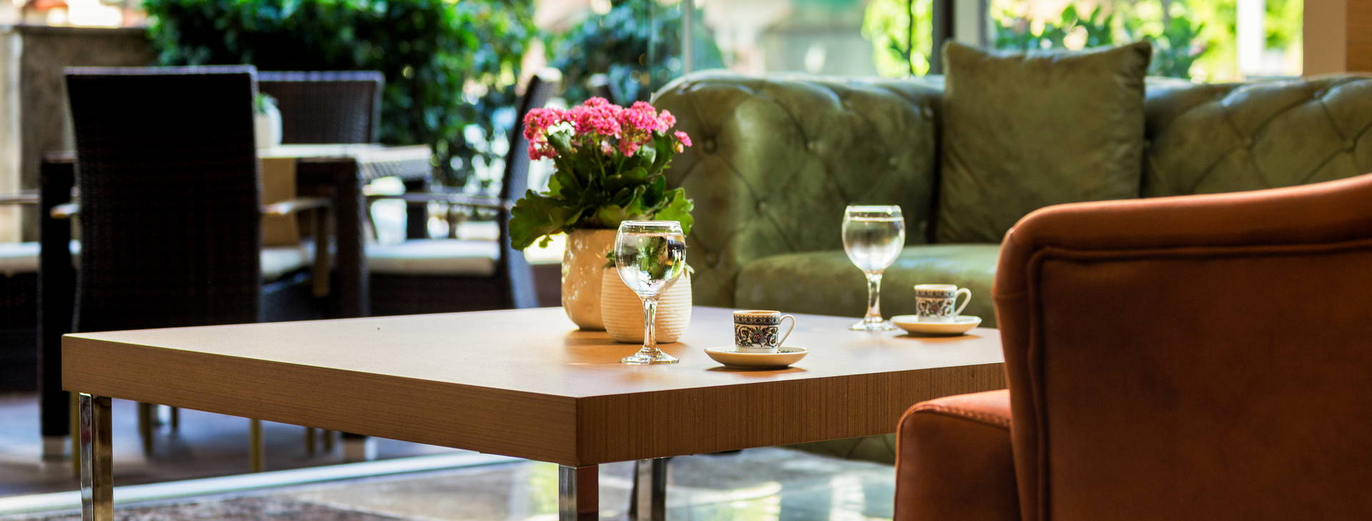 Lonicera City Kleopatra Obrázek20