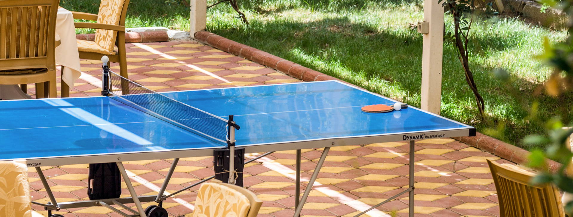 Lonicera City Kleopatra Obrázek23