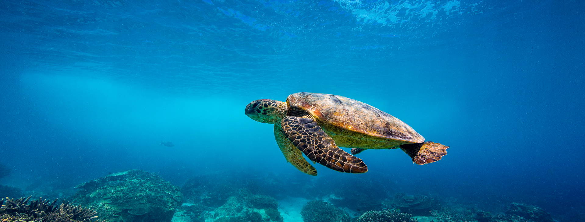 Ubytování KSL Obrázek22