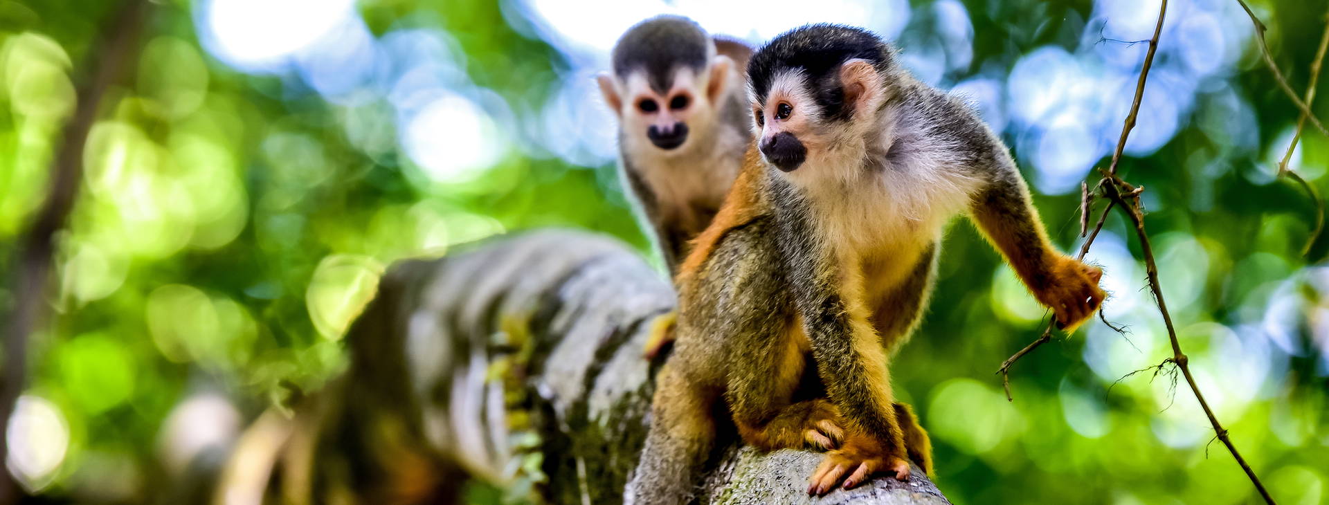 Ubytování PNK Obrázek24