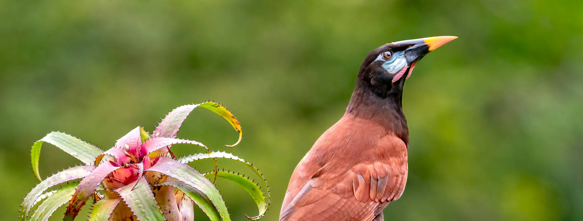 Ubytování KSJ Obrázek13