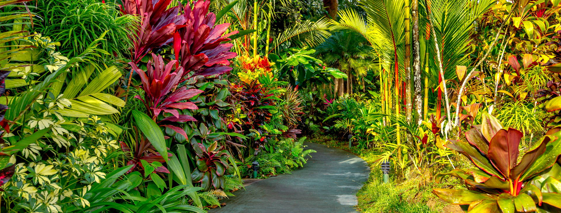 Ubytování KSJ Obrázek9