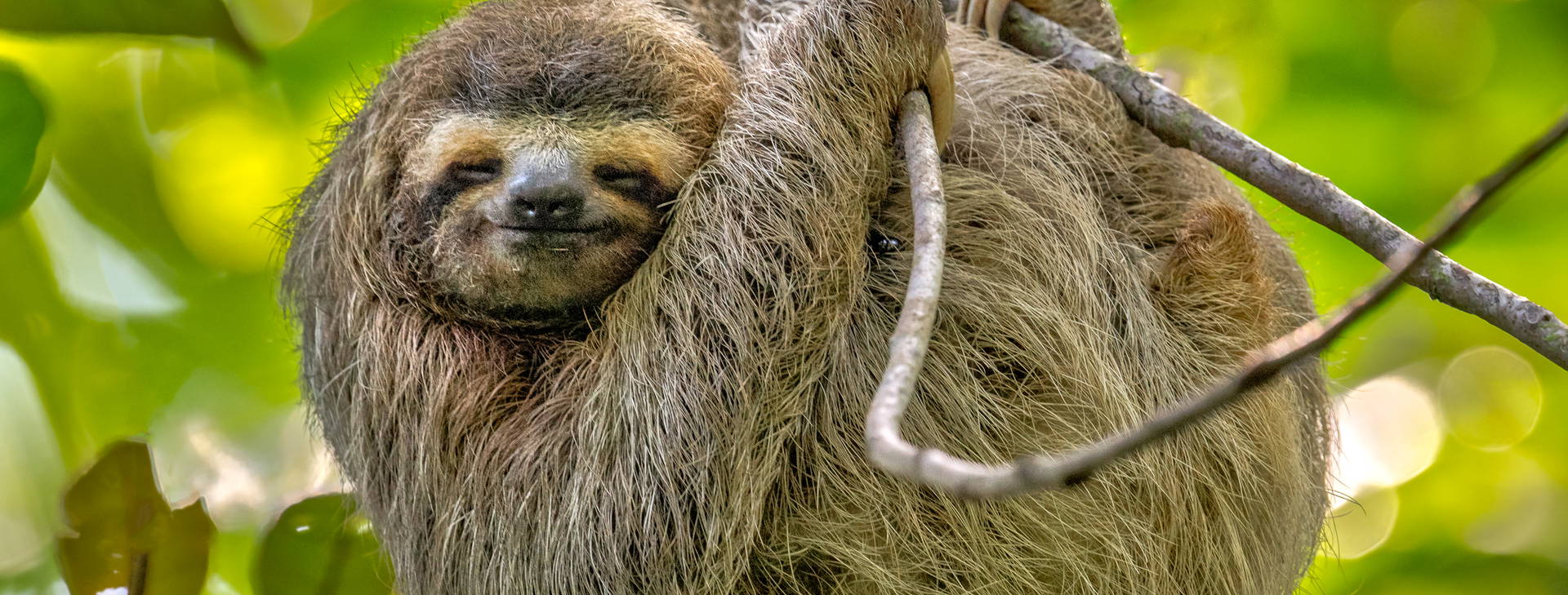 Ubytování PNK Obrázek26