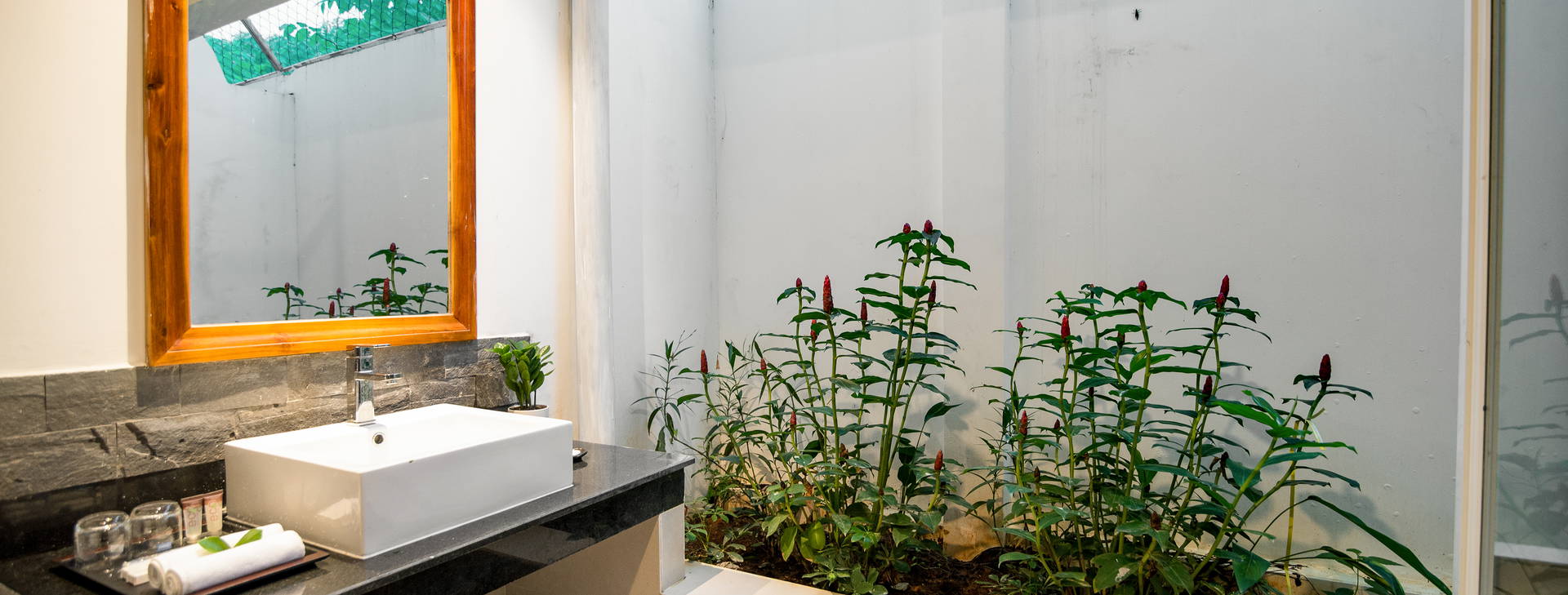 Palma Resort Obrázek12