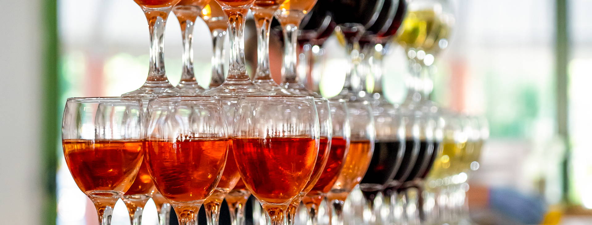 Kalina Garden Obrázek8