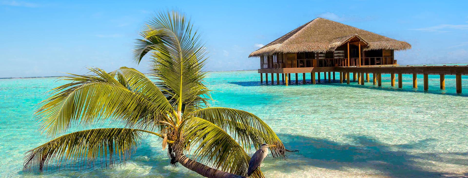 Medhufushi Island Resort Obrázek16