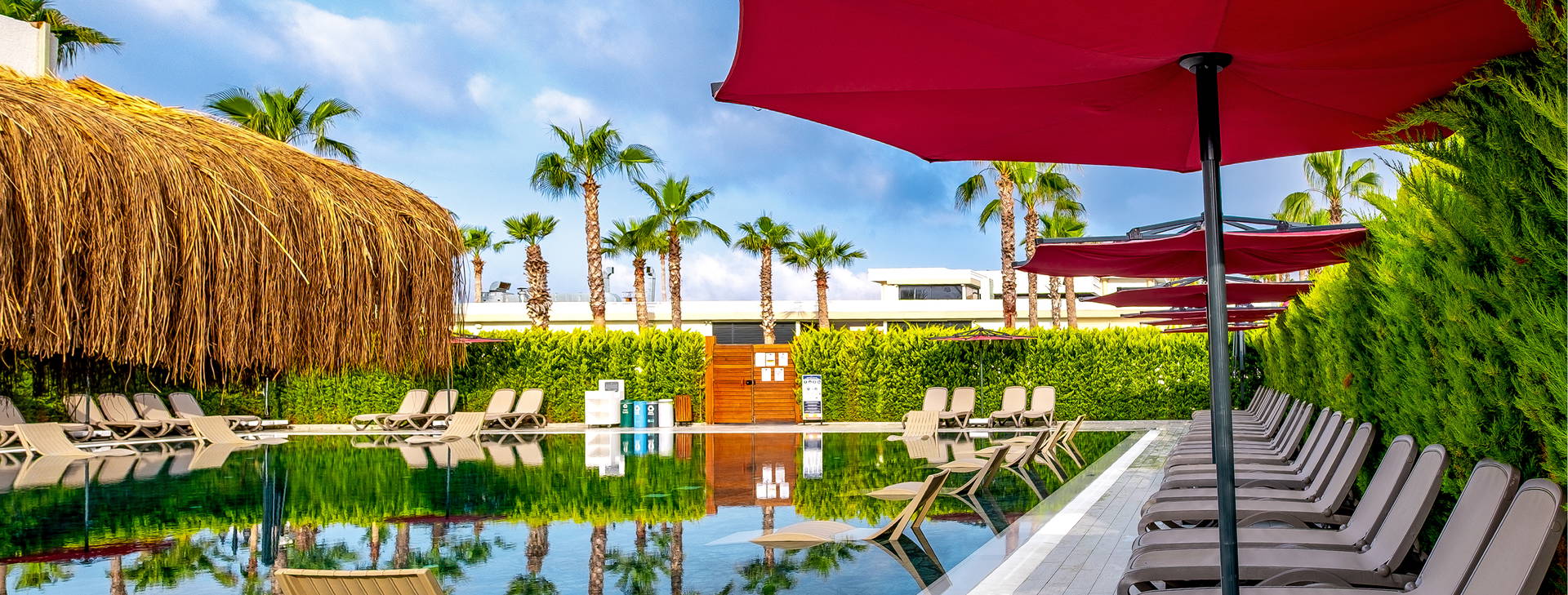 Serenity Queen Obrázek13