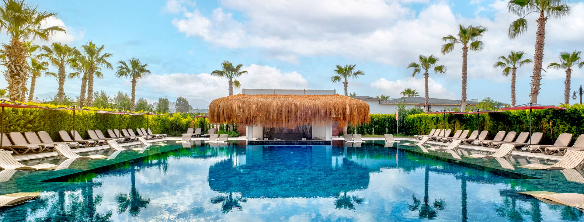 Serenity Queen Obrázek5