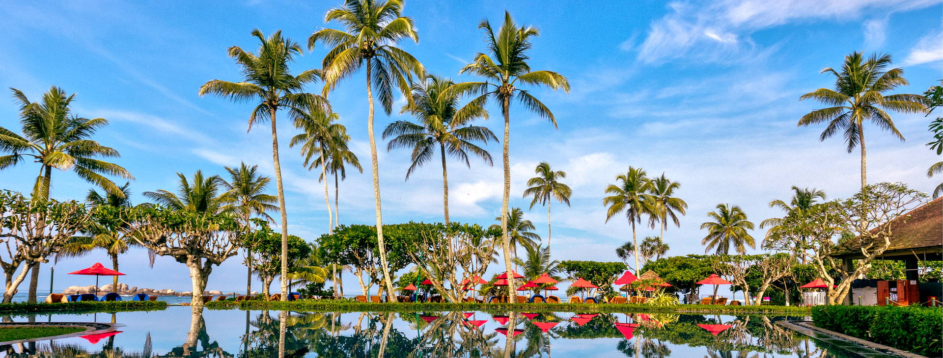 Hikka Tranz by Cinnamon Obrázek17