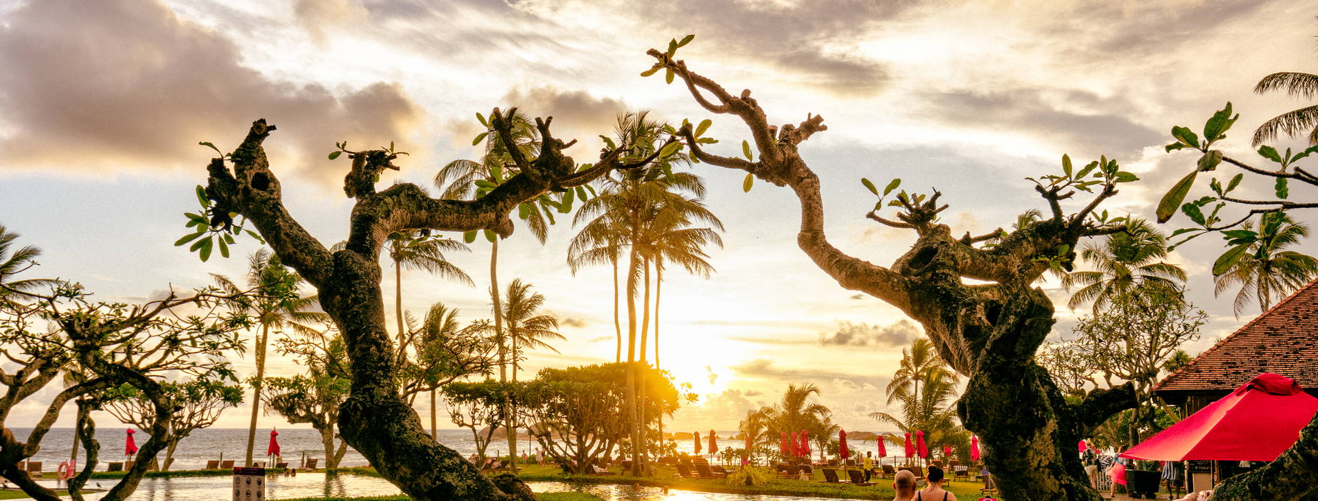 Hikka Tranz by Cinnamon Obrázek23