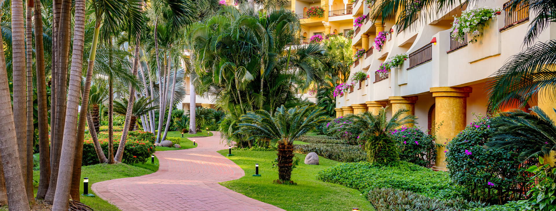 Velas Vallarta Resort Obrázek10