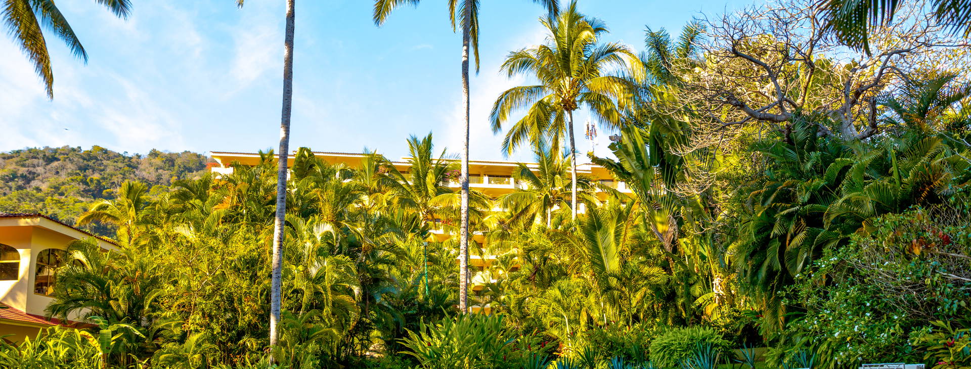 Barcelo Puerto Vallarta Obrázek10