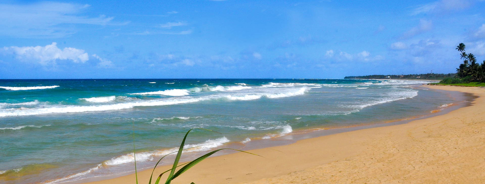 The Beach Cabanas Retreat & Spa Obrázek7