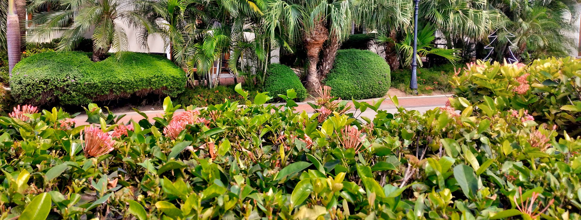 Acoya Curacao Resort Villas & Spa Obrázek40
