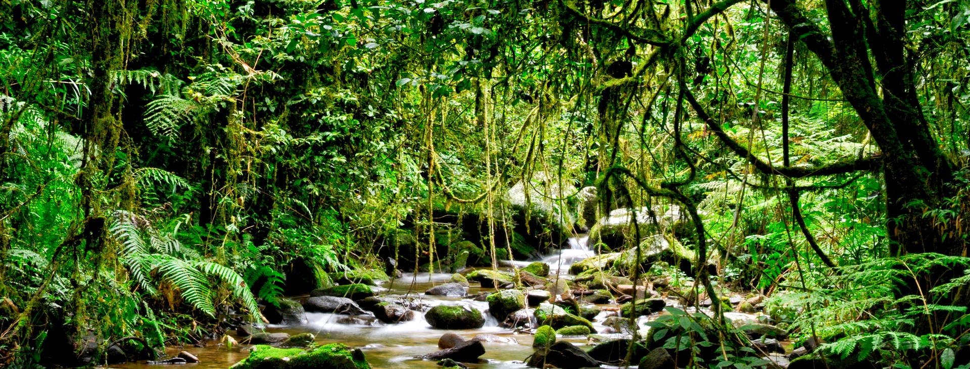 Ubytování MAQ Obrázek13