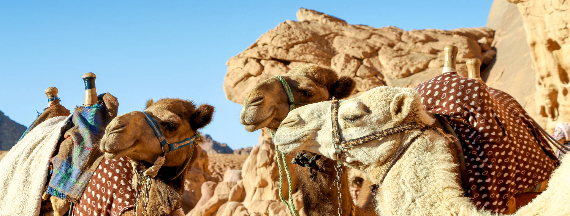 Ubytování TUL Obrázek5