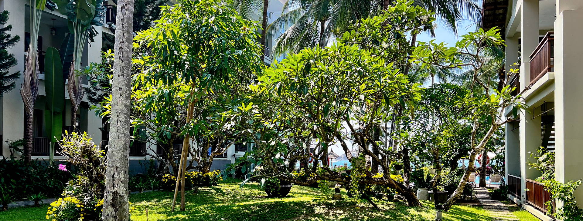 Canary Beach Resort  Obrázek33