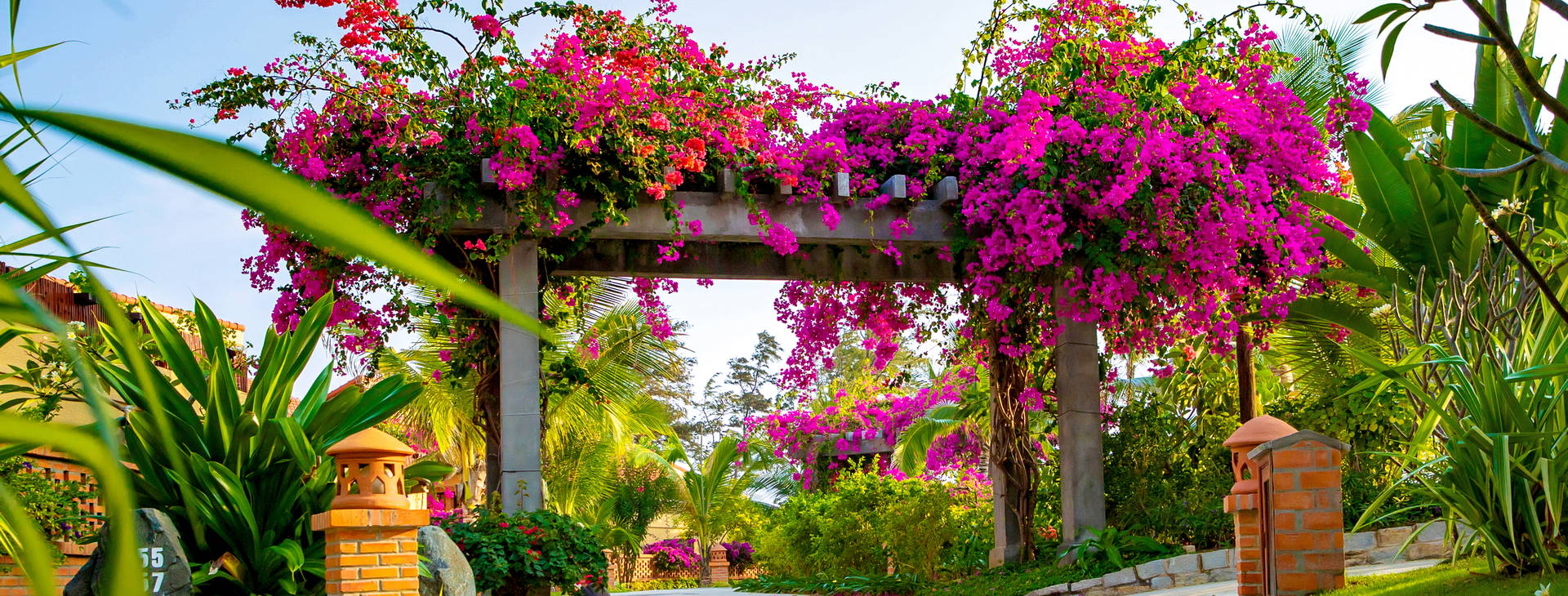 Pandanus Resort  Obrázek25