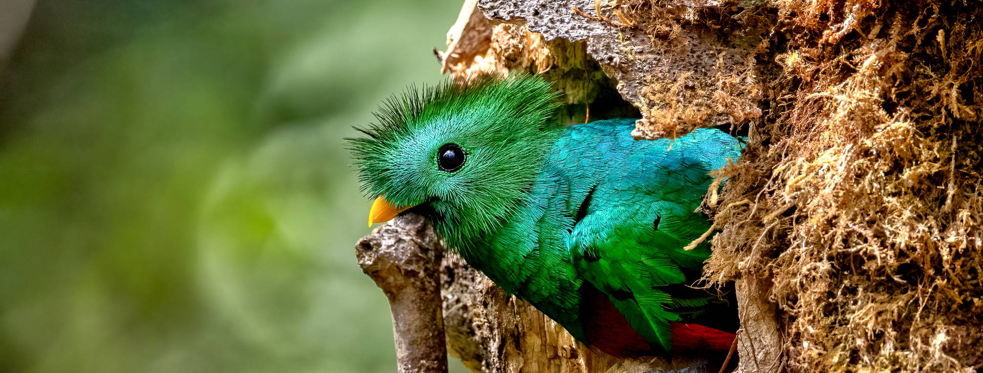 Ubytování KSO Obrázek13