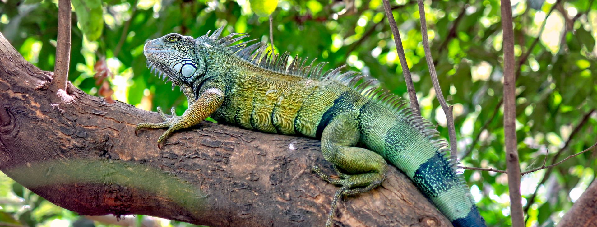 Ubytování KSO Obrázek25