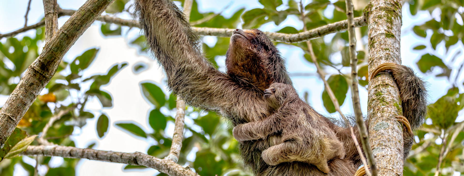 Ubytování KSO Obrázek21