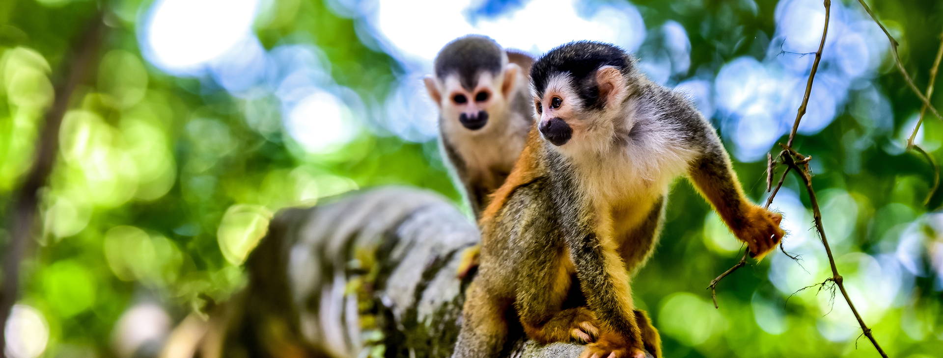 Ubytování KSO Obrázek8