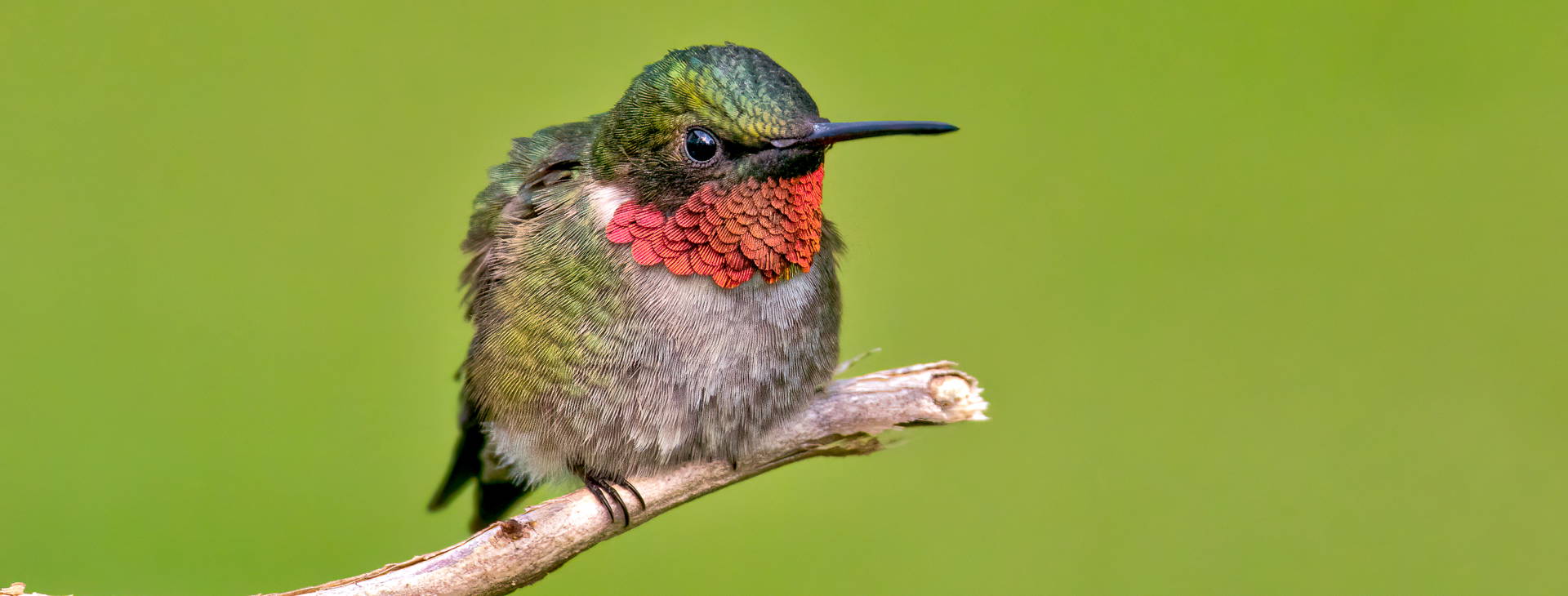 Ubytování KSO Obrázek28