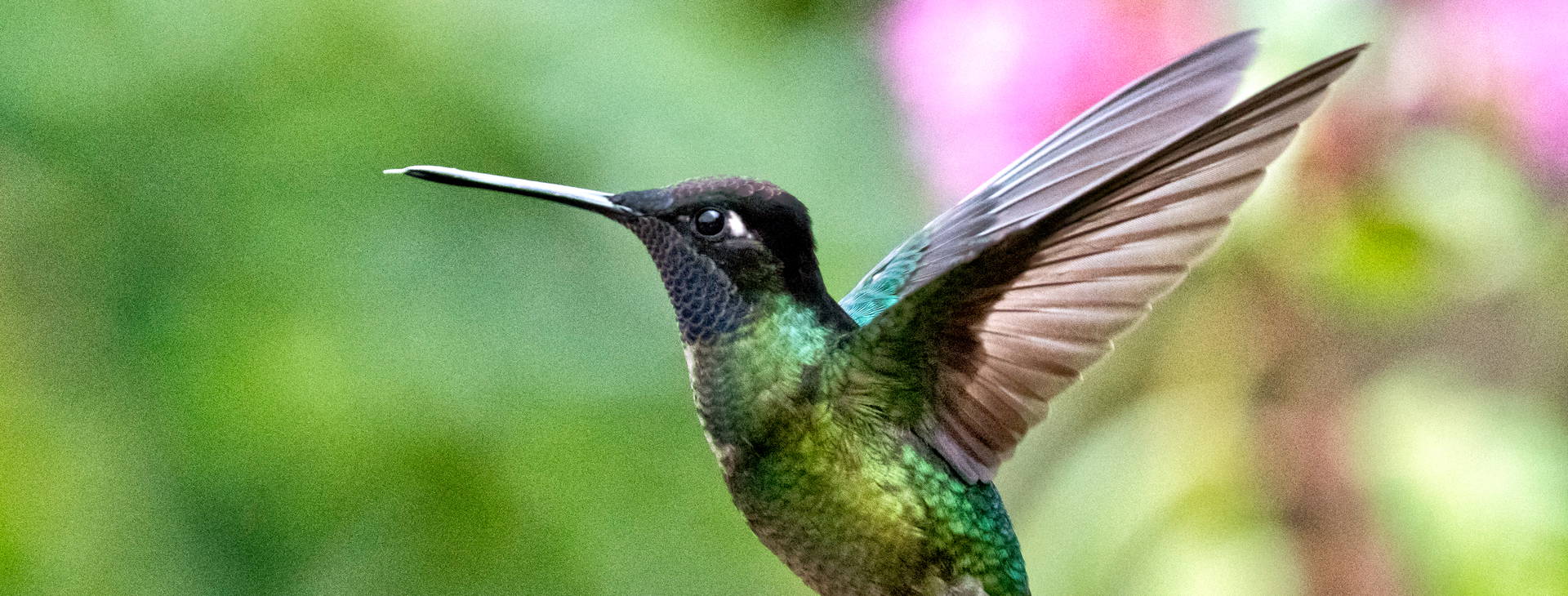 Ubytování KSO Obrázek30