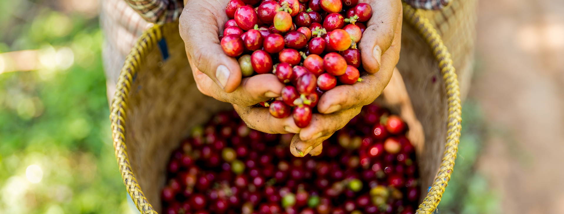 Ubytování KSO Obrázek9