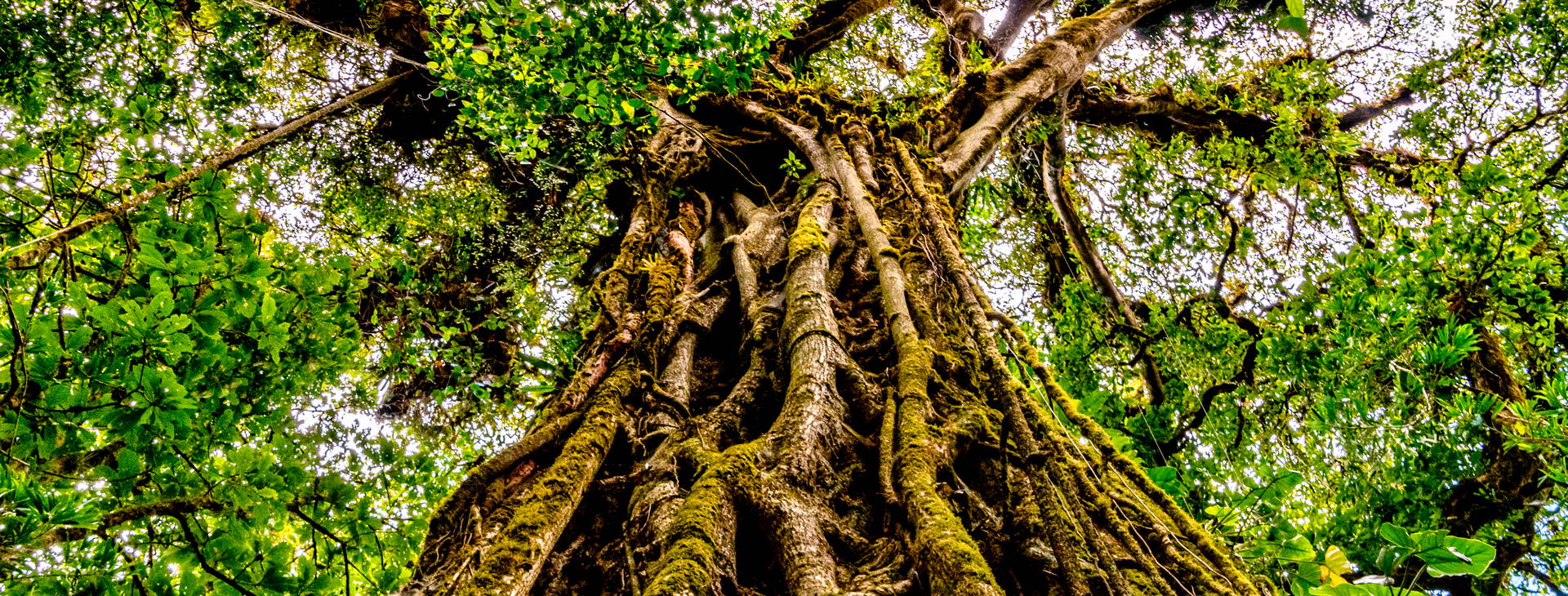 Ubytování KSO Obrázek33