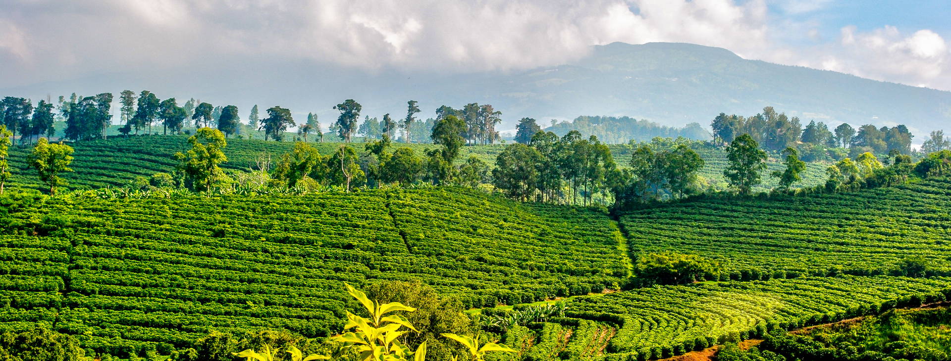 Ubytování KSO Obrázek36