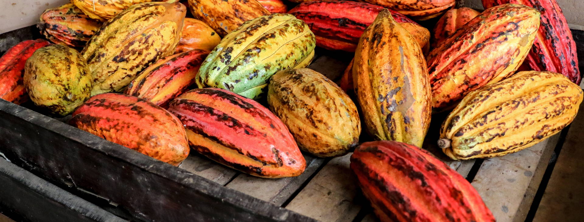 Ubytování KSO Obrázek14