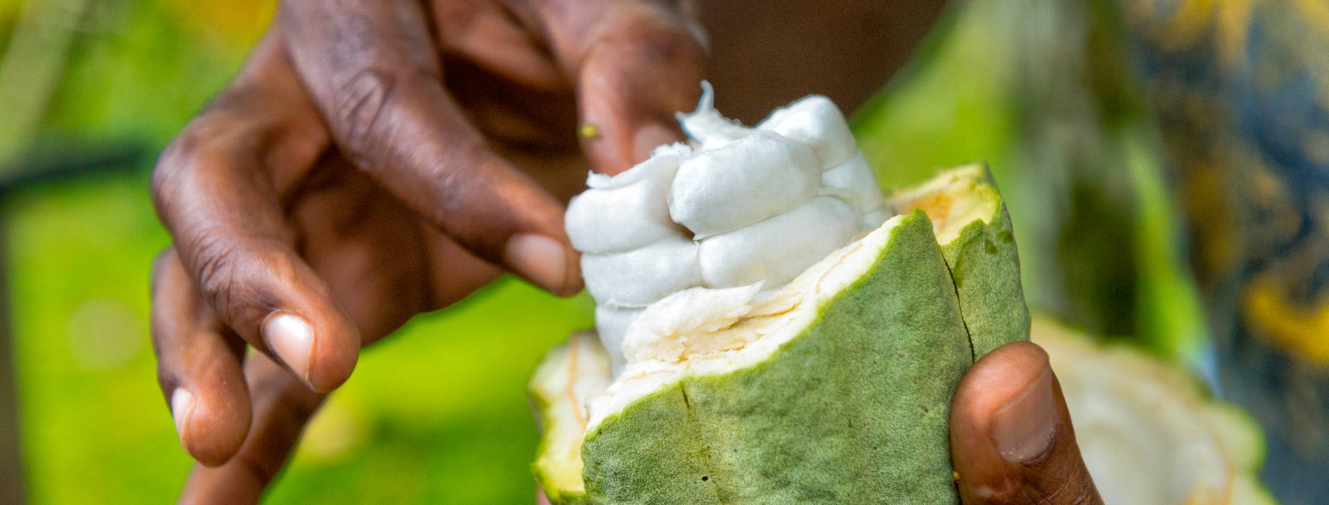 Ubytování KSO Obrázek38