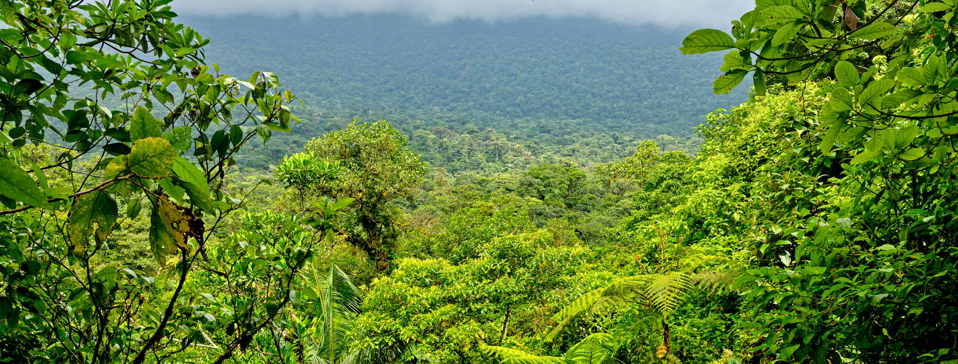 Ubytování KSO Obrázek37