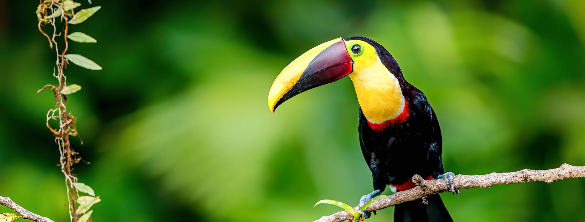 Ubytování KSO Obrázek18