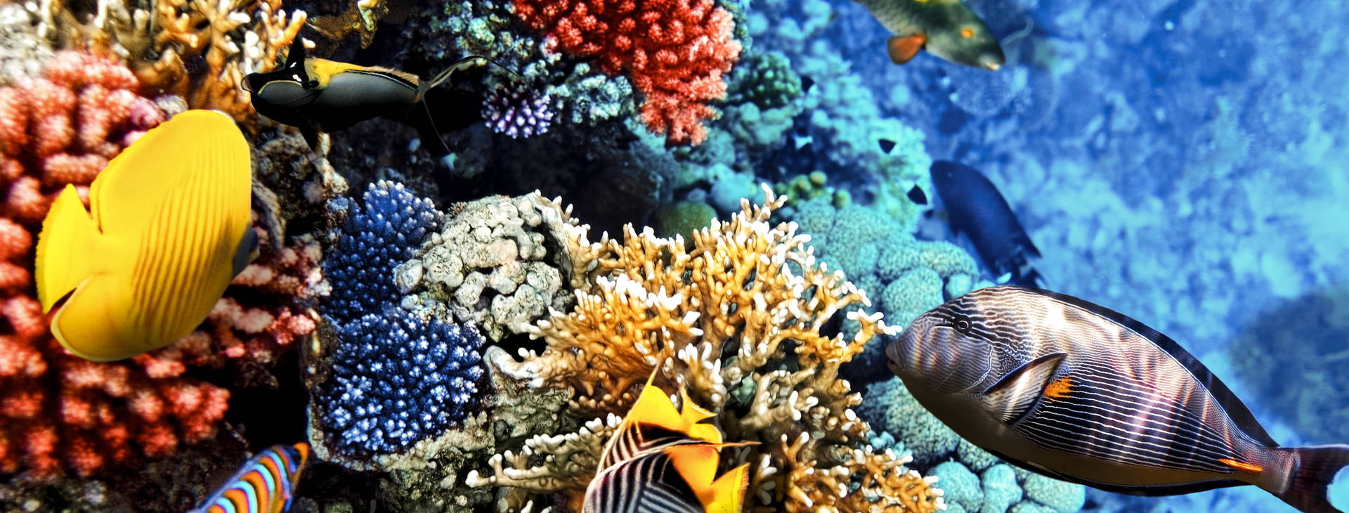 Ubytování KSO Obrázek20