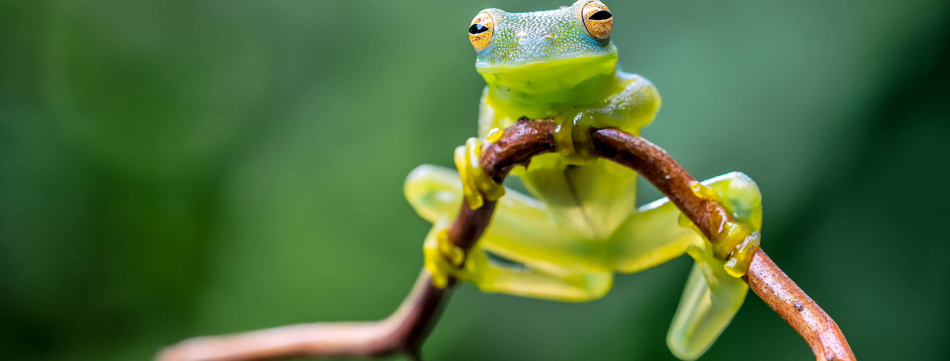 Ubytování KSO Obrázek10