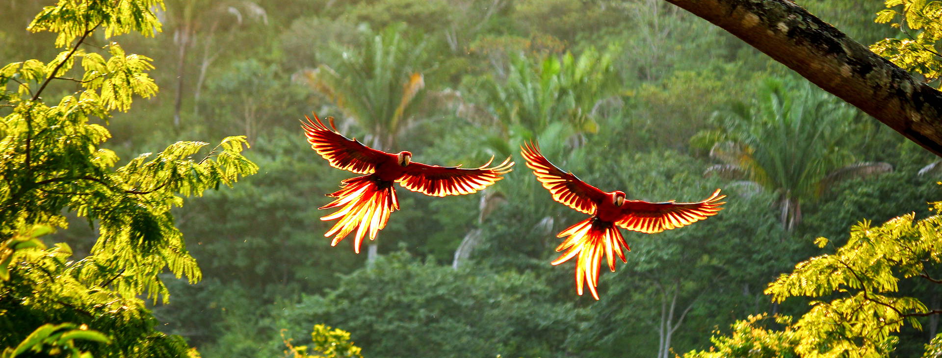 Ubytování KSO Obrázek1