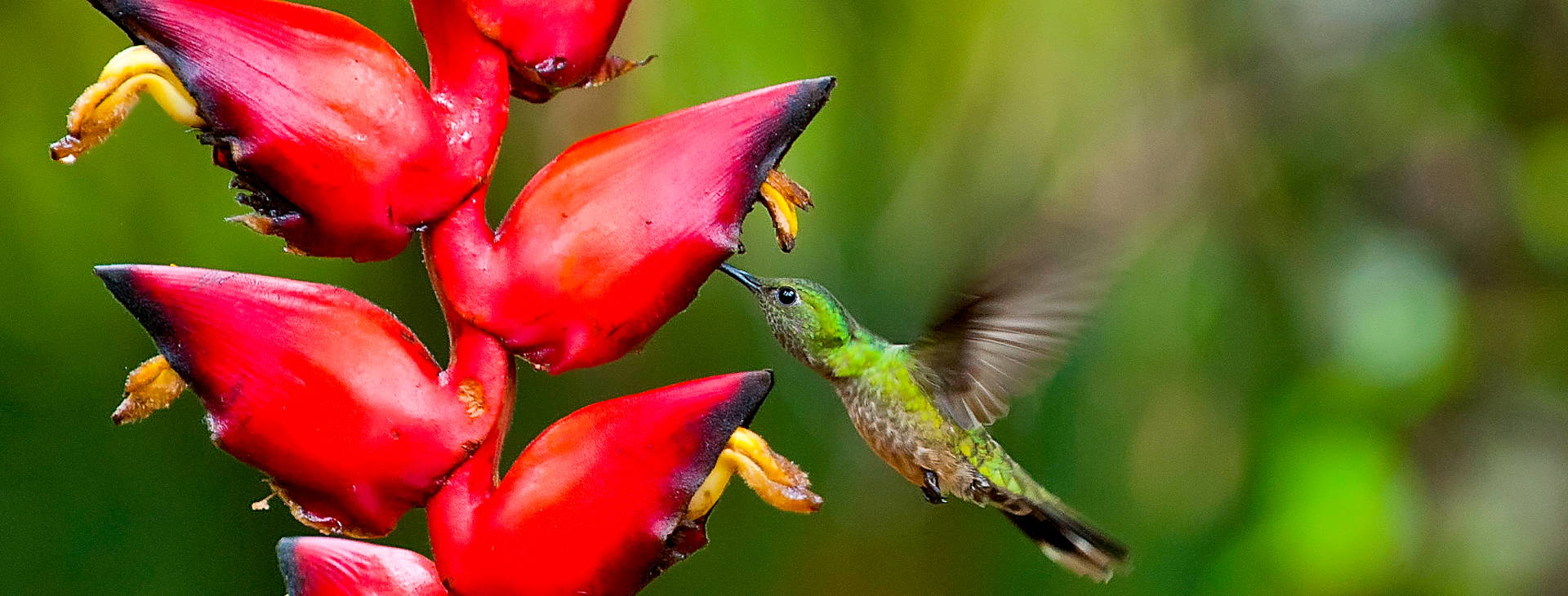 Ubytování KSO Obrázek22