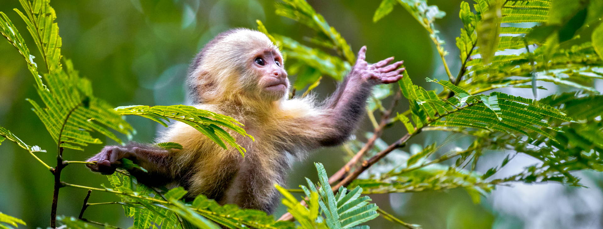 Ubytování KSO Obrázek3