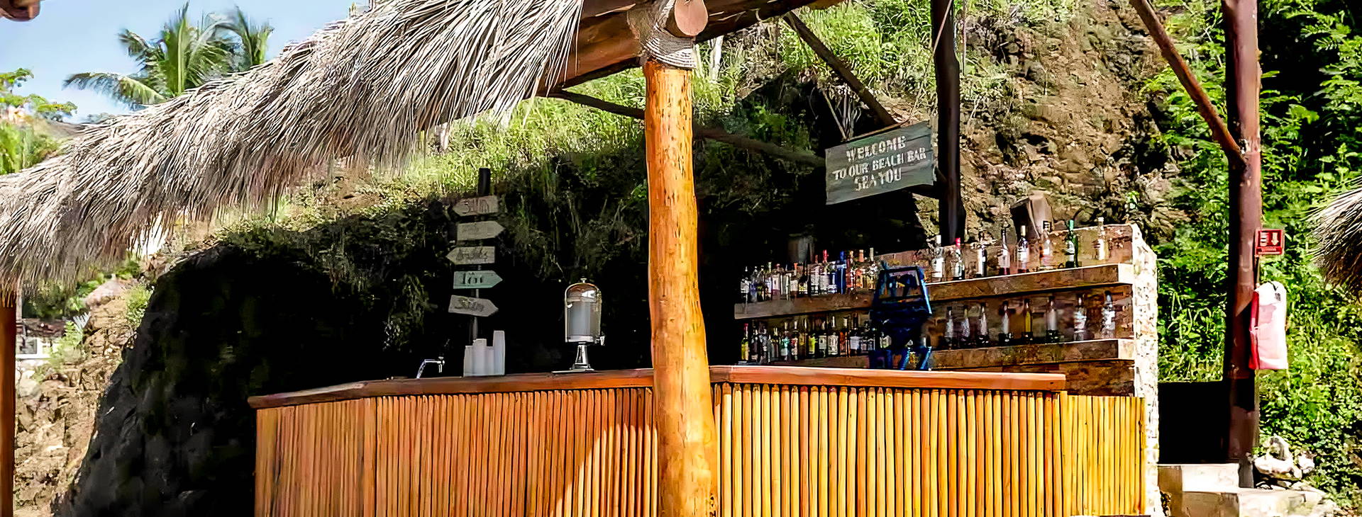 Grand Palladium Vallarta Resort & Spa Obrázek29