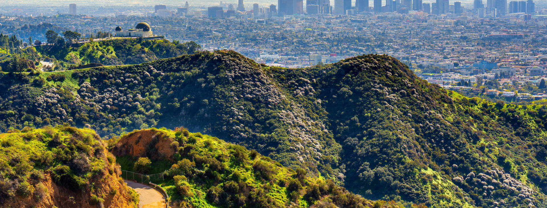 Ubytování MNC (Norwegian Encore) Obrázek0