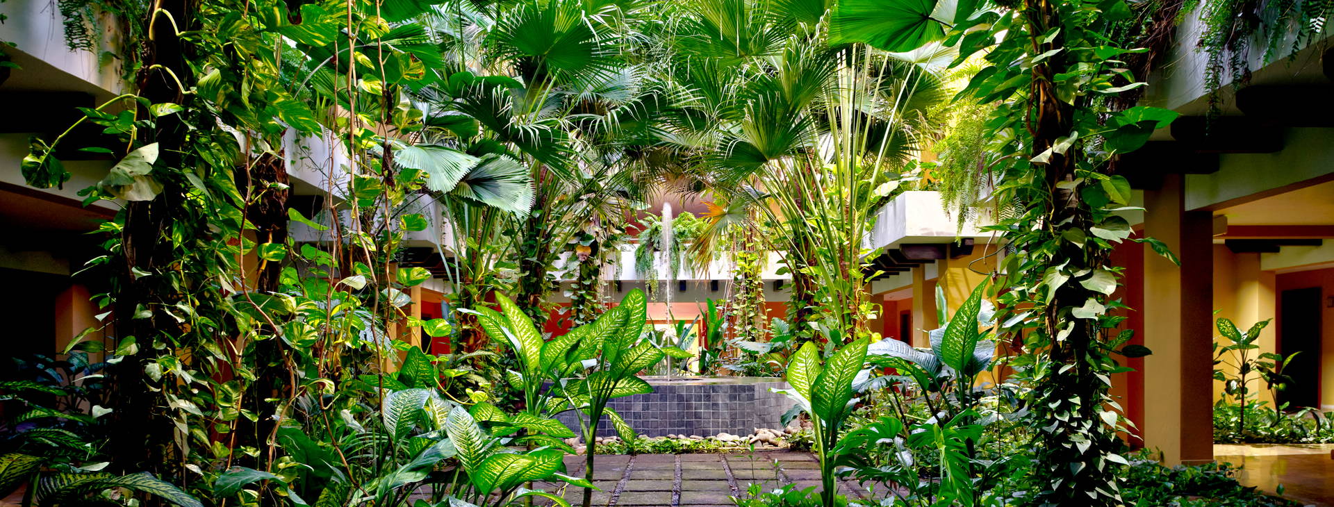 The Westin Reserva Conchal Obrázek4