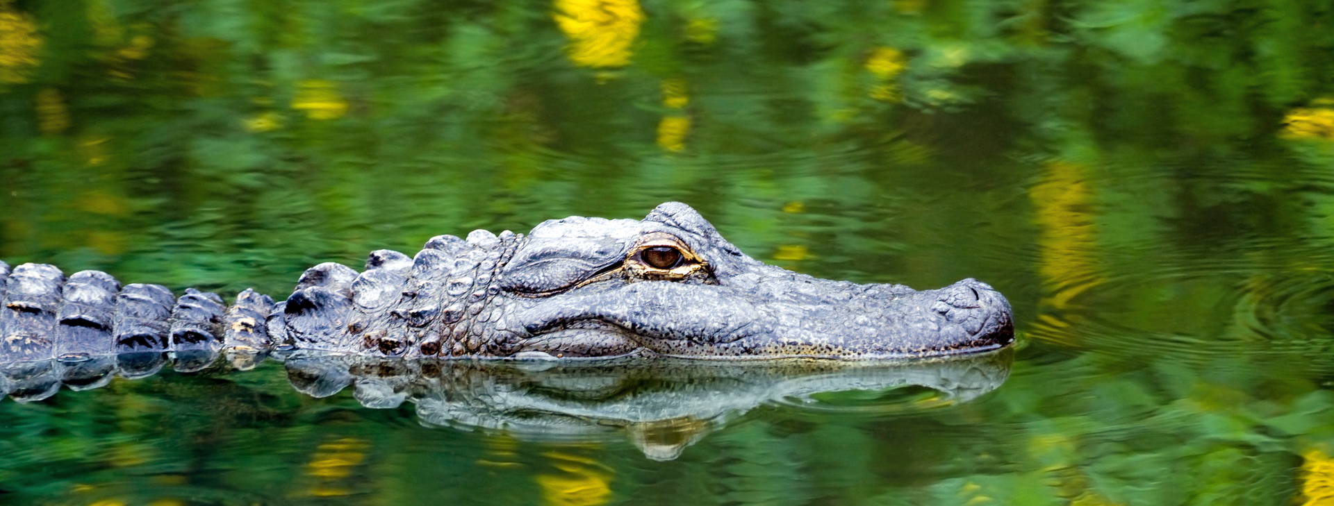 Ubytování RCO (MSC Meraviglia) Obrázek1
